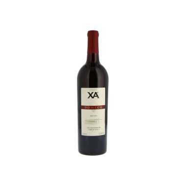 Vino Tinto XA Domecq Cabernet 750ml