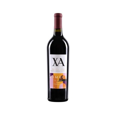 Vino Tinto XA Domecq Cabernet 750ml