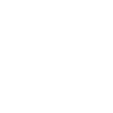 Presidente