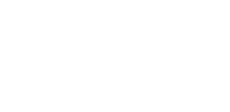 Licor 43
